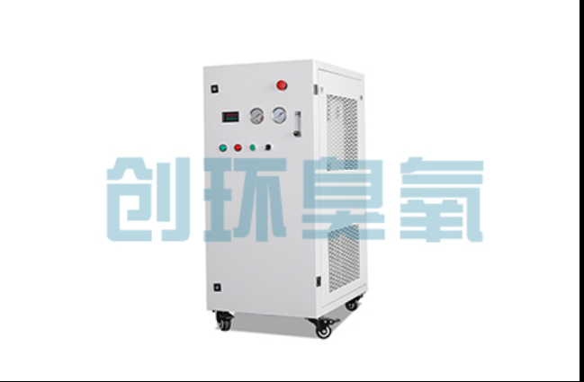 西双版纳工厂化养鲈必看:2026年臭氧发生器替代传统消毒的最新方案