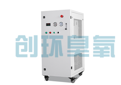 西双版纳石斑鱼养殖水质调控完整指南：臭氧发生器配置与操作步骤