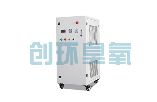 西双版纳比传统换水更高效？臭氧发生器在石斑鱼养殖中的水质净化原理解析